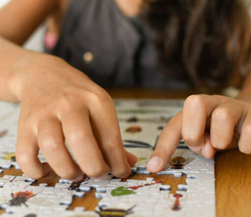 Poppik - Puzzle "Insekten" 500 Teile inkl. Poster, ab 7 Jahre – Bild 3