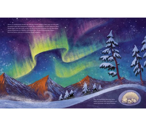 Magellan Verlag -  Der kleine Polarbär - Zu Hause in der Arktis, ab 3 Jahren – Bild 2