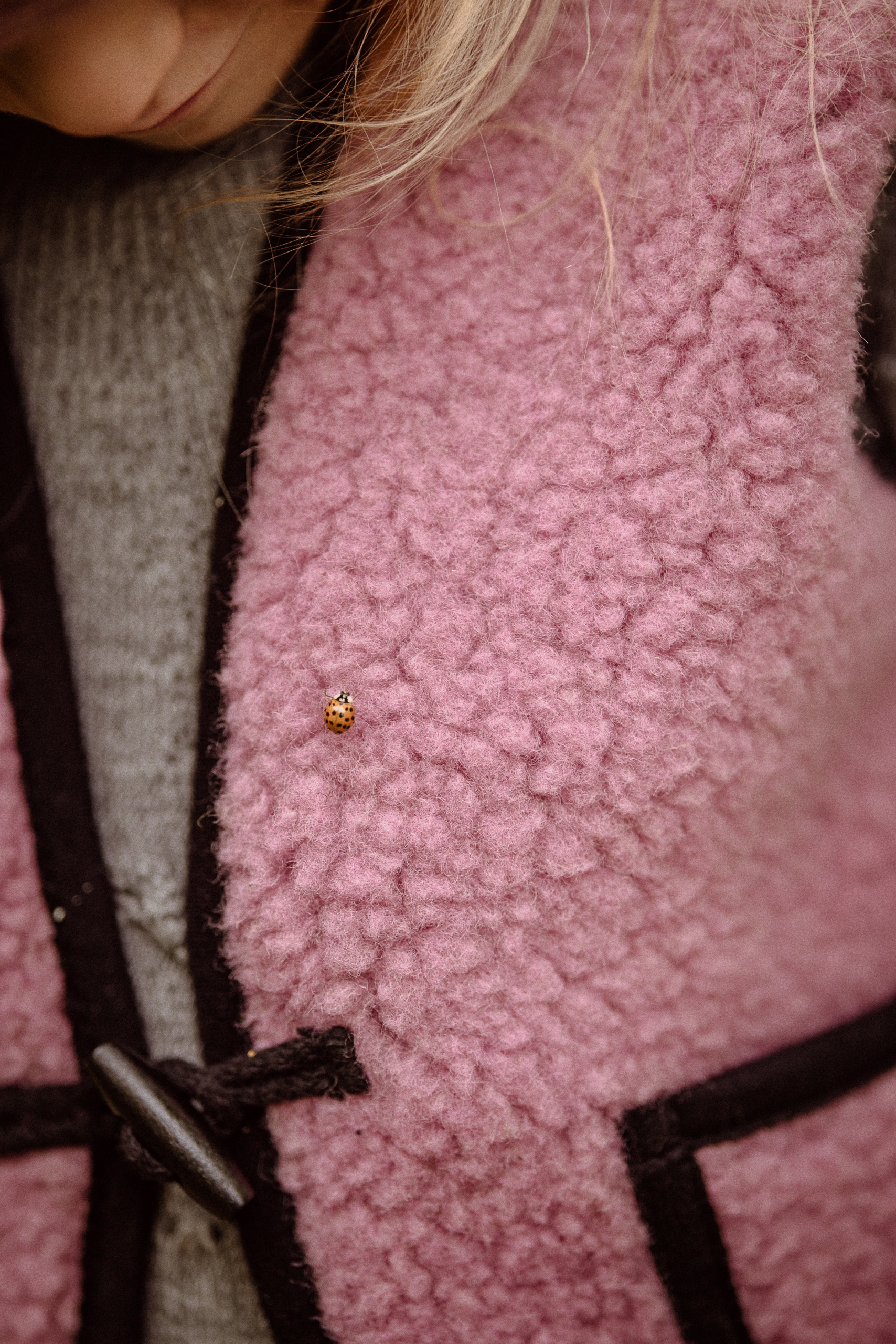 Alwero - Bodywarmer "Alpen 2.0" Junior, Biowolle, Venetian Pink, ultra light – Bild 12