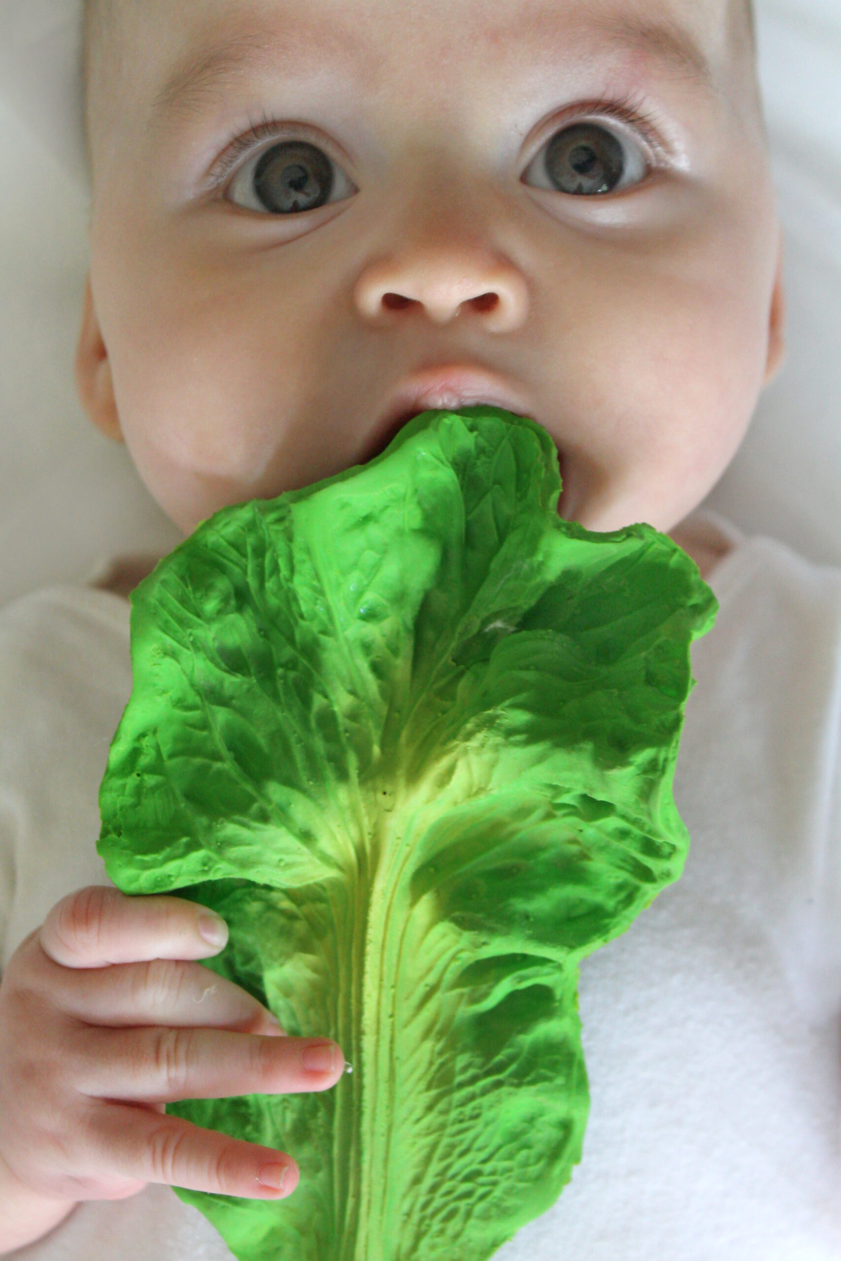 Oli & Carol - Beißhilfe "Kendall the Kale" aus Naturkautschuk – Bild 5