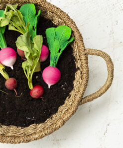 Oli & Carol - Beißhilfe "Ramona the Radish" aus Naturkautschuk – Bild 4