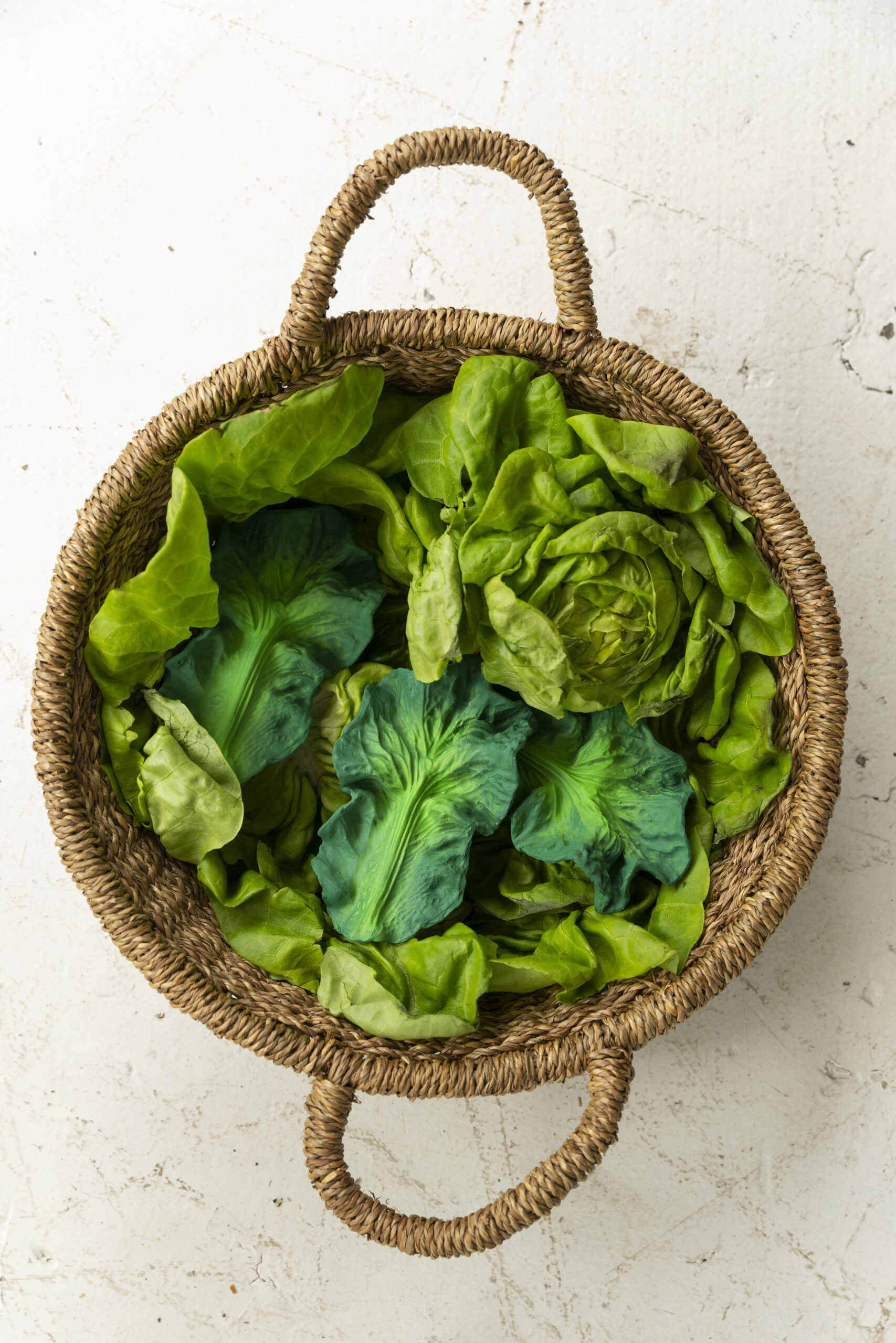 Oli & Carol - Beißhilfe "Kendall the Kale" aus Naturkautschuk – Bild 7