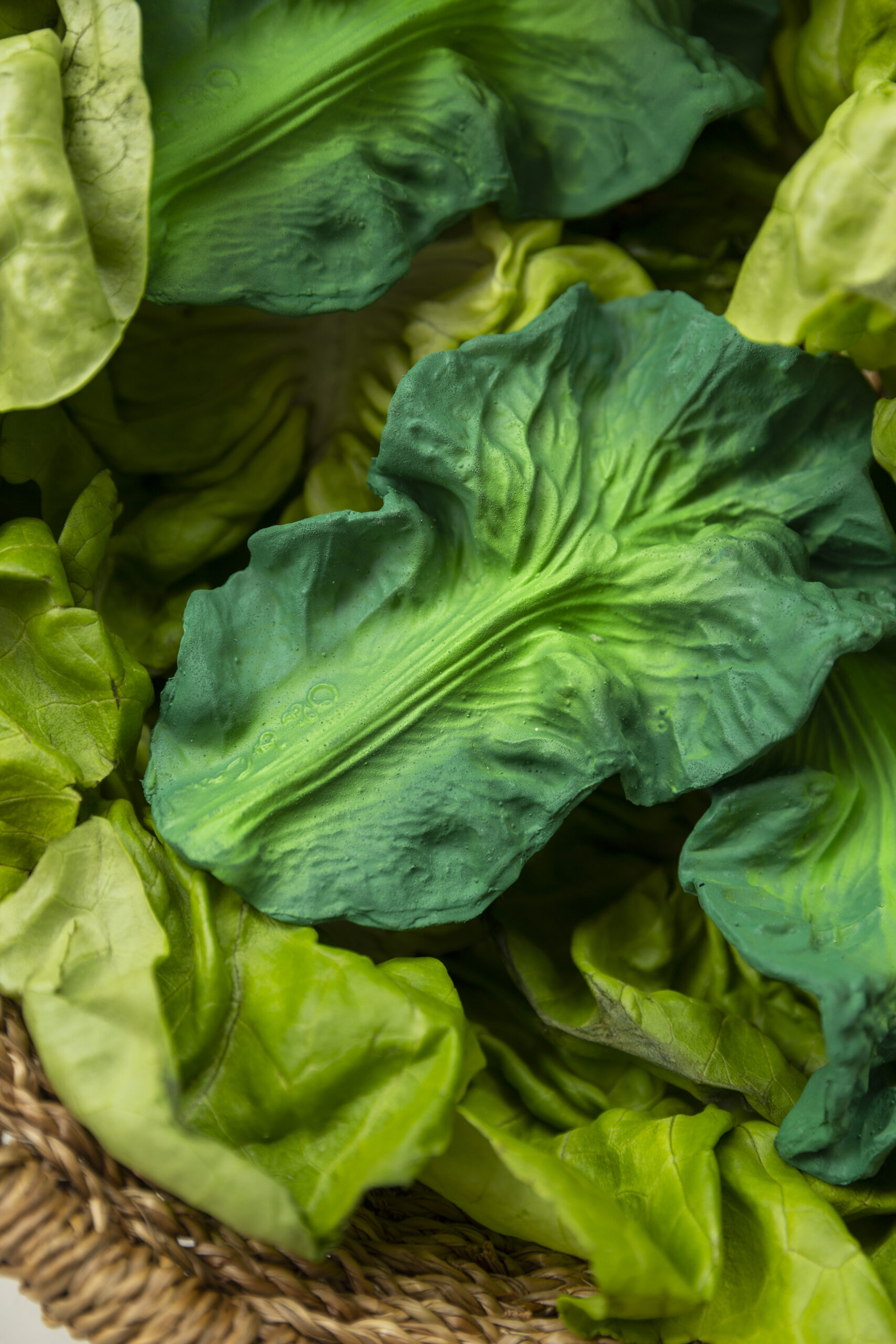 Oli & Carol - Beißhilfe "Kendall the Kale" aus Naturkautschuk – Bild 6