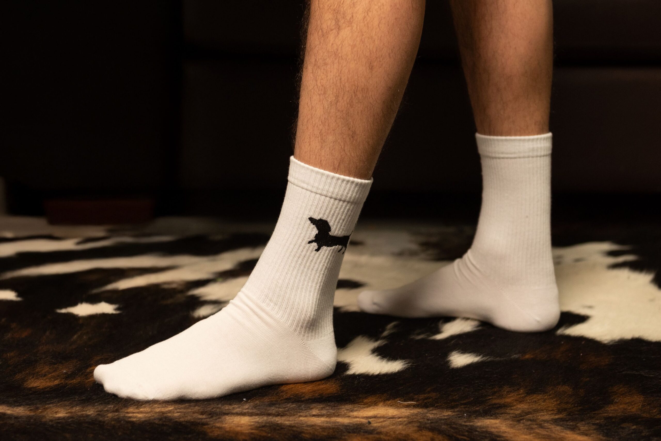MY DAY MY DREAM - Socken "Dackel", weiß, Baumwolle – Bild 3